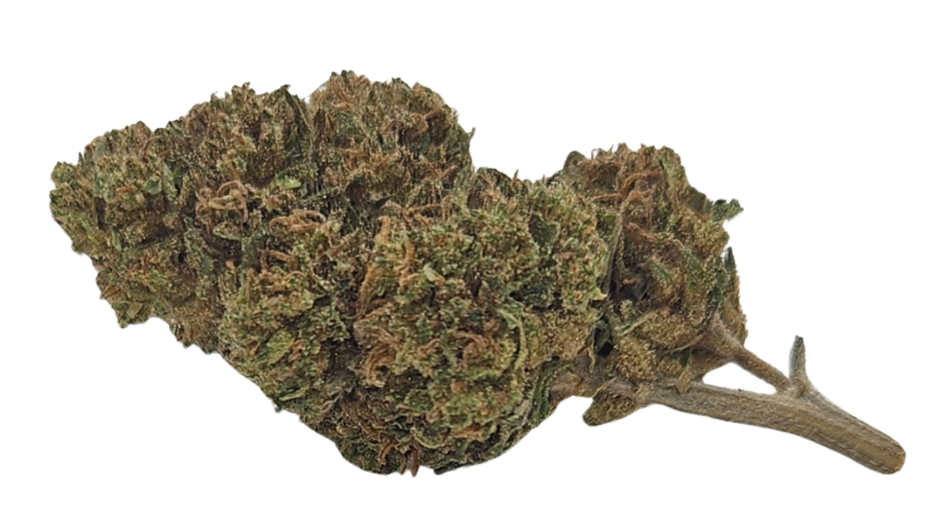 FRUIT INTERDIT > 18% CBD