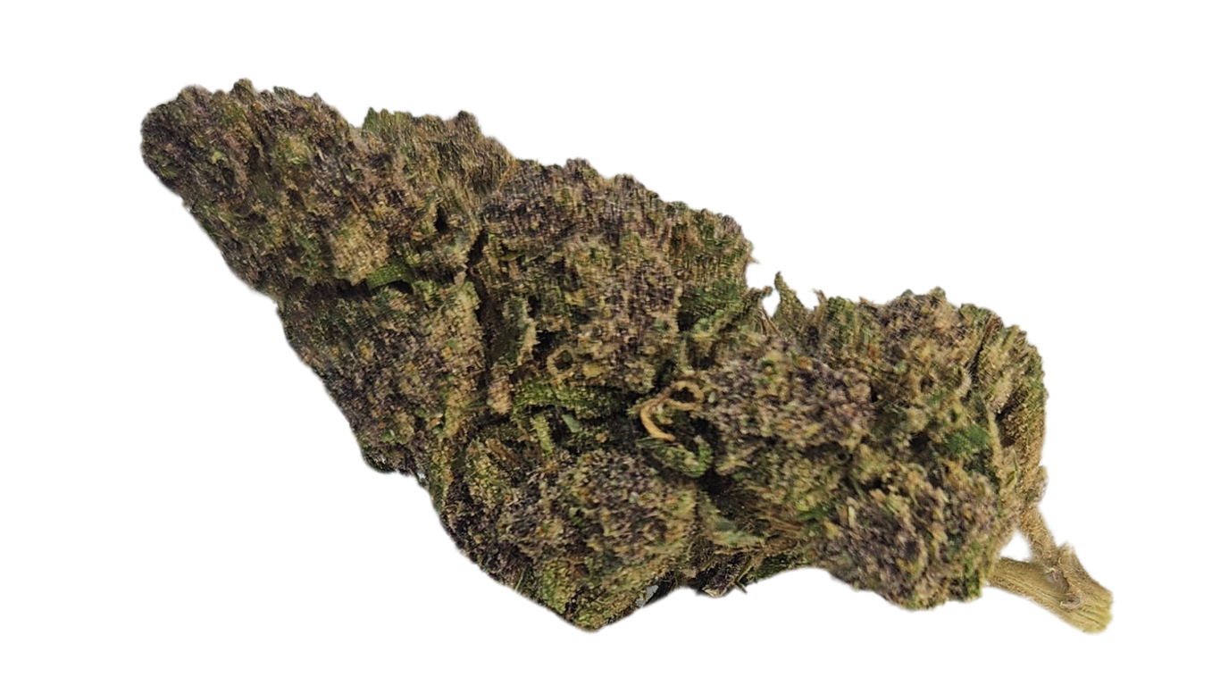 PURPLE HAZE > 30% CBD