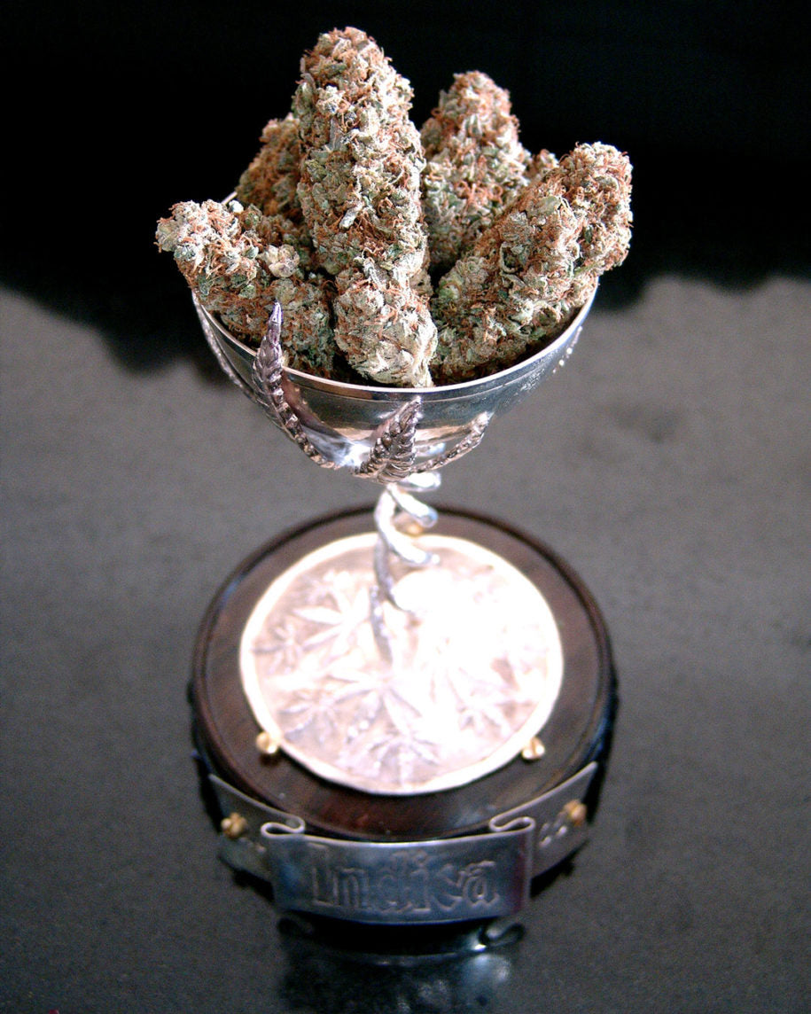 LAVENDER SOMA SEEDS 3 SEMI