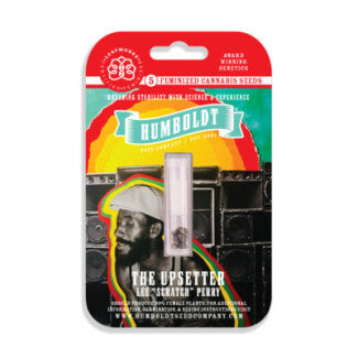 THE UPSETTER FEM 3 GRAINES