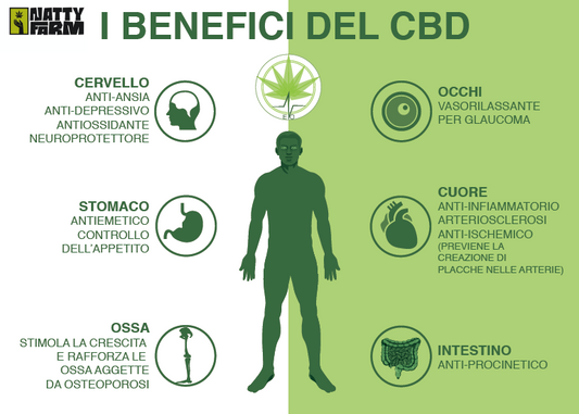 Benefici  del  CBD  per  la  salute  e  il benessere