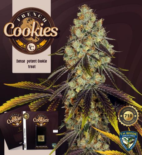 Biscuits français TH Seeds 710 Pack limité 2 graines