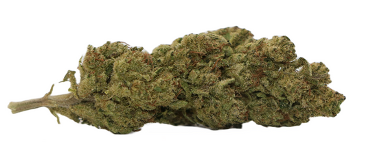 LEMON V1 > 20 % CBD