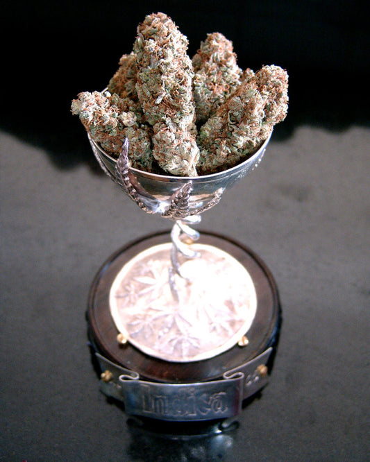 LAVENDER SOMA SEEDS 3 SEMI
